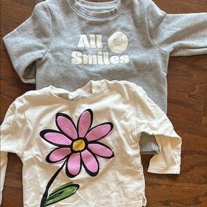 Zara Gray and Cream Long Sleeve Tees Casual Style